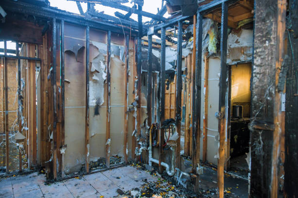 Professional Fire Damage Removal technician working in Island City, OR
